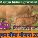 Kisan Karj Mafi Yojana 2023 New List : सभी किसानो का 1 लाख रूपए तक का कर्ज हुआ माफ़; ऐसे देखे नयी लिस्ट में अपना नाम  :-